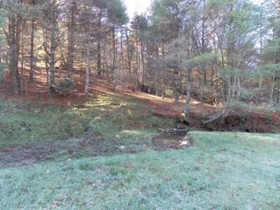 Floyd County VA Farm Land For Sale! - image 22