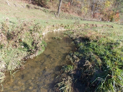 Floyd County VA Farm Land For Sale! - image 19