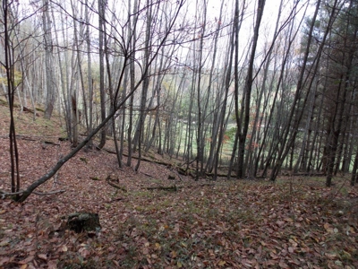 Floyd County VA Farm Land For Sale! - image 48