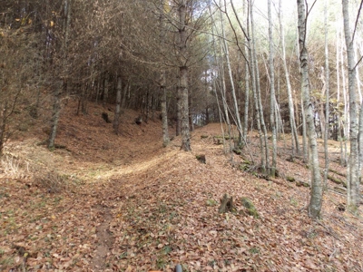 Floyd County VA Farm Land For Sale! - image 49