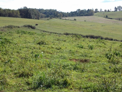 Floyd County VA Farm Land For Sale! - image 18