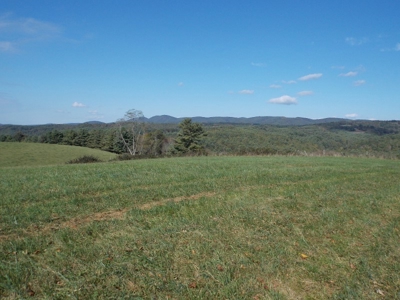 Floyd County VA Farm Land For Sale! - image 12