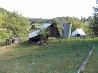 Floyd County VA Farm Land For Sale! - image 9