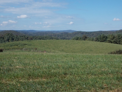 Floyd County VA Farm Land For Sale! - image 13