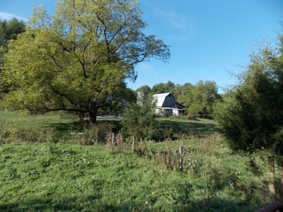 Floyd County VA Farm Land For Sale! - image 2