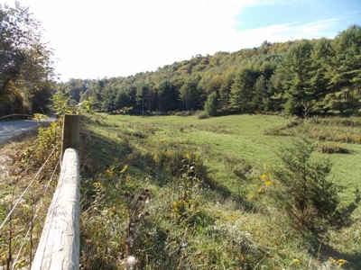 Floyd County VA Farm Land For Sale! - image 6