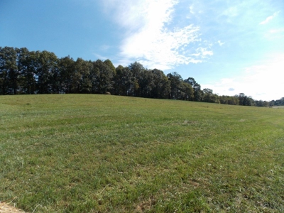 Floyd County VA Farm Land For Sale! - image 15