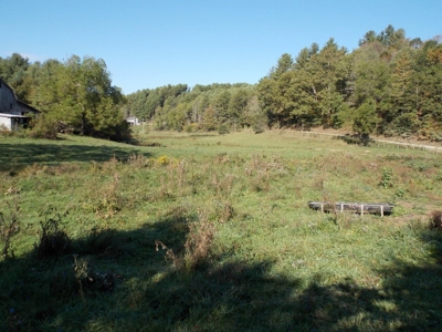 Floyd County VA Farm Land For Sale! - image 4
