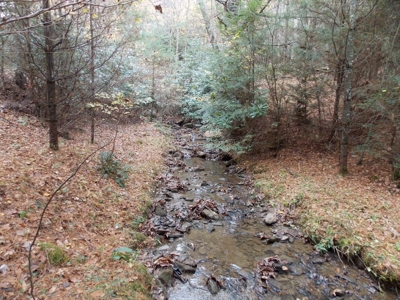 Floyd County VA Farm Land For Sale! - image 45