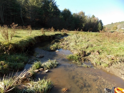 Floyd County VA Farm Land For Sale! - image 20