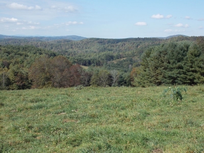 Floyd County VA Farm Land For Sale! - image 16