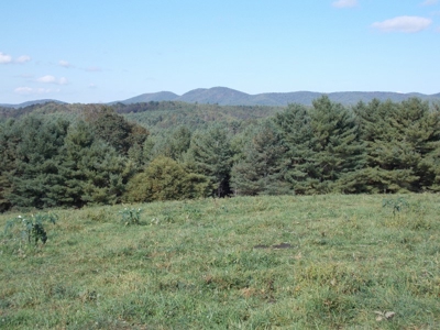 Floyd County VA Farm Land For Sale! - image 17