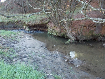 Floyd County VA Farm Land For Sale! - image 21