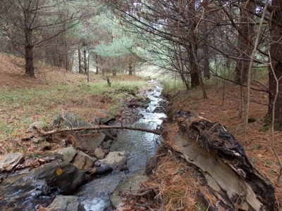 Floyd County VA Farm Land For Sale! - image 46