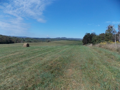 Floyd County VA Farm Land For Sale! - image 10