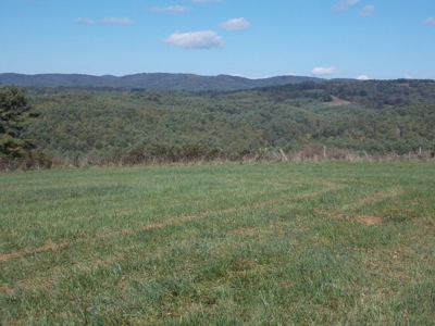 Floyd County VA Farm Land For Sale! - image 14