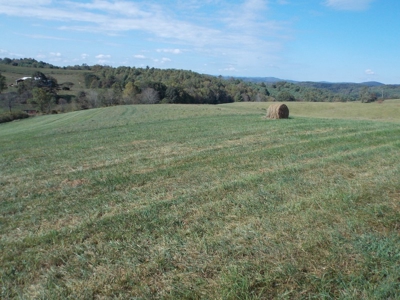 Floyd County VA Farm Land For Sale! - image 11
