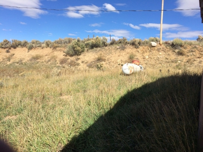 Tierra Amarilla Homes for Sale / Northern NM Fixer Upper - image 2
