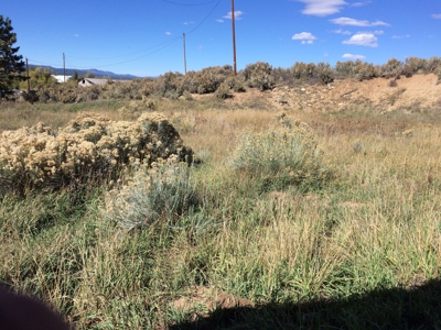 Tierra Amarilla Homes for Sale / Northern NM Fixer Upper - image 1