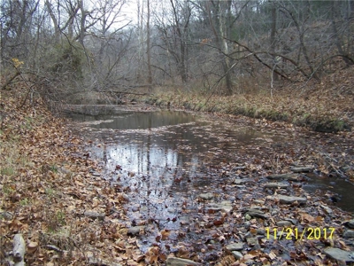 270 Acres m/l  Crop ground - Timber - Pasture  Northeast KS - image 20
