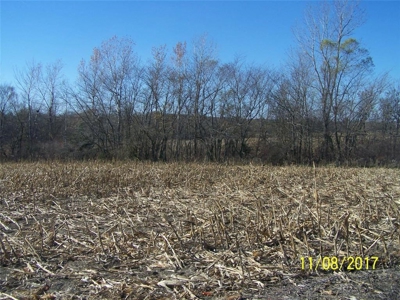 270 Acres m/l  Crop ground - Timber - Pasture  Northeast KS - image 3