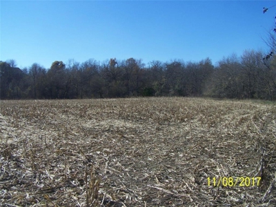 270 Acres m/l  Crop ground - Timber - Pasture  Northeast KS - image 14