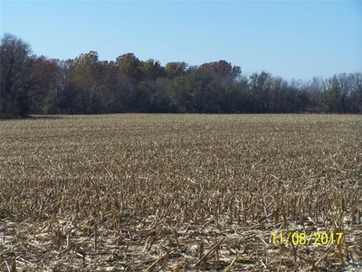 270 Acres m/l  Crop ground - Timber - Pasture  Northeast KS - image 6