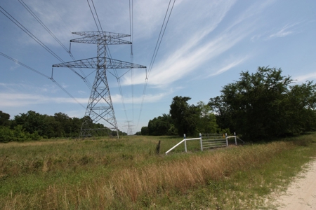 Acreage For Sale - Lake Limestone - Leon County, Texas - image 13