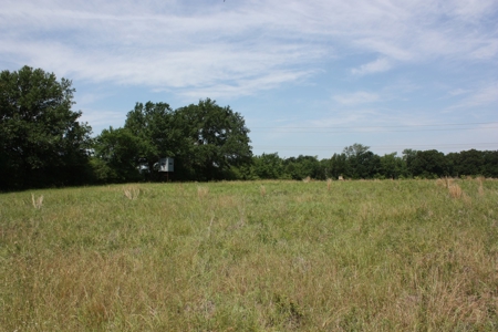 Acreage For Sale - Lake Limestone - Leon County, Texas - image 6