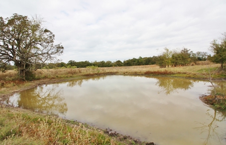 Acreage For Sale - Lake Limestone - Leon County, Texas - image 4