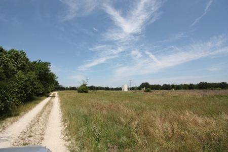 Acreage For Sale - Lake Limestone - Leon County, Texas - image 16
