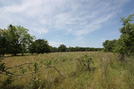 Acreage For Sale - Lake Limestone - Leon County, Texas - image 14