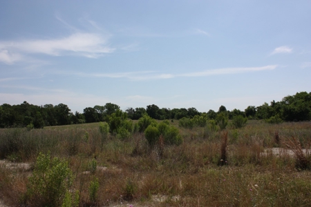 Acreage For Sale - Lake Limestone - Leon County, Texas - image 8