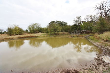 Acreage For Sale - Lake Limestone - Leon County, Texas - image 3