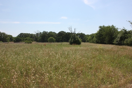 Acreage For Sale - Lake Limestone - Leon County, Texas - image 9