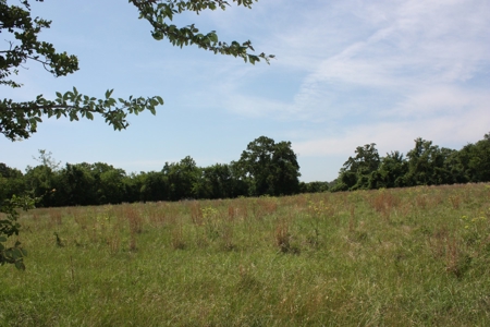 Acreage For Sale - Lake Limestone - Leon County, Texas - image 10