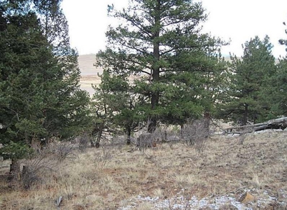 Land for Sale Mountain Property Acreage Fairplay, CO - image 3