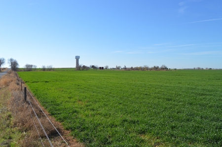 100 Acres Prime Farmland Development Property - image 3