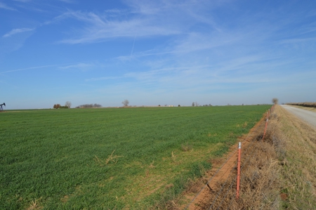 100 Acres Prime Farmland Development Property - image 6