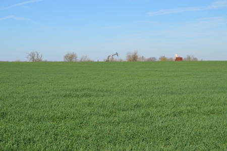 100 Acres Prime Farmland Development Property - image 17