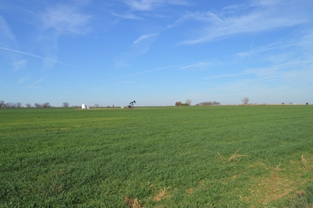 100 Acres Prime Farmland Development Property - image 7