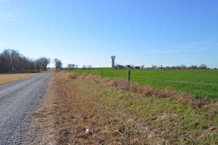 100 Acres Prime Farmland Development Property - image 2