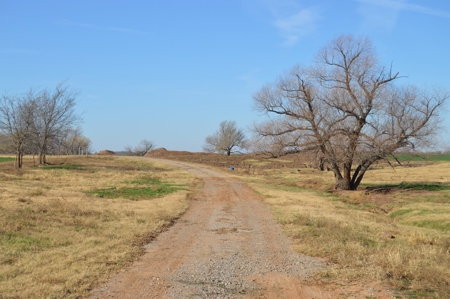 100 Acres Prime Farmland Development Property - image 11