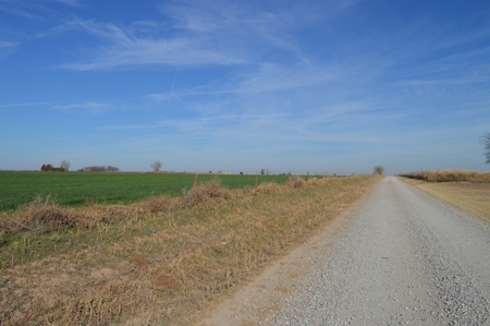 100 Acres Prime Farmland Development Property - image 1