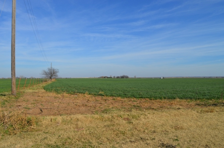 100 Acres Prime Farmland Development Property - image 18