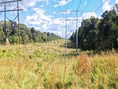 Acreage with Lakes for Sale East Baton Rouge Parish, LA - image 5