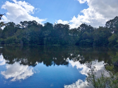 Acreage with Lakes for Sale East Baton Rouge Parish, LA - image 11