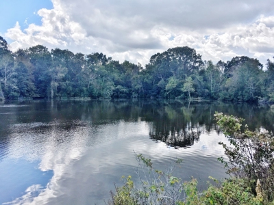 Acreage with Lakes for Sale East Baton Rouge Parish, LA - image 15