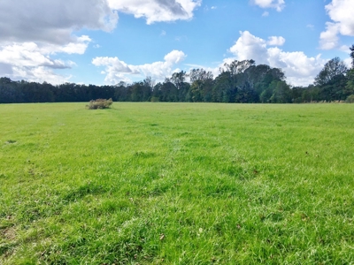 Acreage with Lakes for Sale East Baton Rouge Parish, LA - image 8