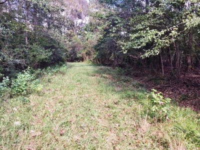 Acreage with Lakes for Sale East Baton Rouge Parish, LA - image 28